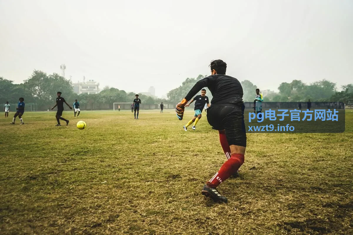 pg电子官方网站 文章封面图